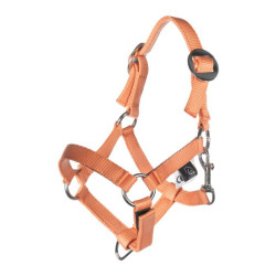 Halfter & Führstrick fürs Hobby Horsing – HKM Halfter & Führstrick fürs Hobby Horsing – HKM
