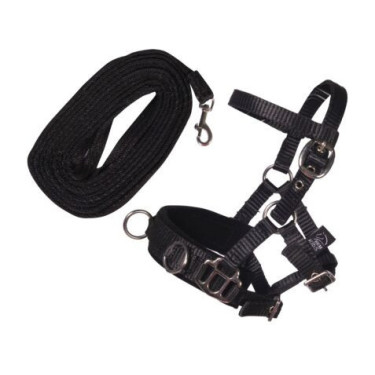 Hobby Horsing Longier-Set 4 m – Equi-Clic Reitzubehör
