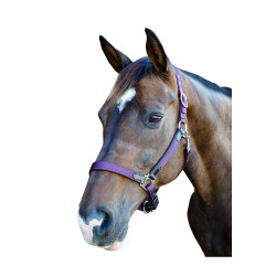 Leder/Nylon-Halfter Lesmo Flags & Cup