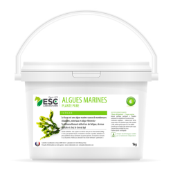 Meeresalgen ESC Laboratoire Meeresalgen ESC Laboratoire