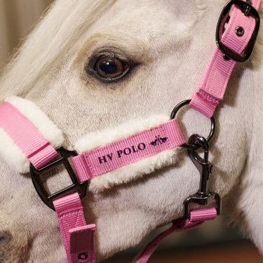HV Polo Halfter Sacha – gepolstertes Pferdehalfter