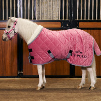 Stalldecke HV Polo Sacha Denk rosa