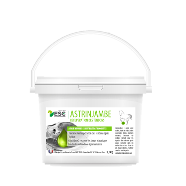 Astrinjambes ESC Laboratoire Astrinjambes ESC Laboratoire