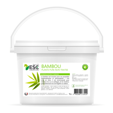 Bambus ESC Laboratorium Bambus ESC Laboratorium