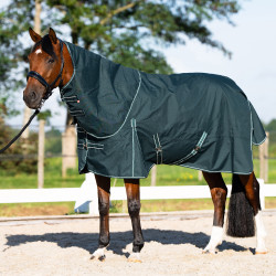 Sommer-Pferdedecke mit Halsteil – Imperial Riding | Reiten