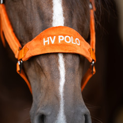 Halfter HV Polo Luxury – gepolstertes Reithalfter Halfter HV Polo Luxury – gepolstertes Reithalfter