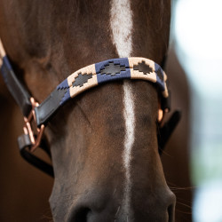HV Polo Chaya Leder-Halfter – Reitzubehör Pferd