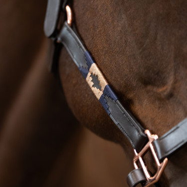 HV Polo Chaya Leder-Halfter – Reitzubehör Pferd