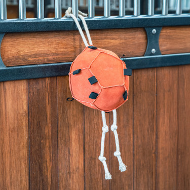 Pferdespielzeug fürs Reiten: HV Polo Horseball Volley