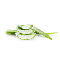 Aloe-Vera-Gel ESC Laboratoire Aloe-Vera-Gel ESC Laboratoire