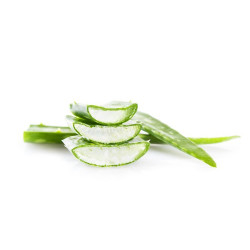 Aloe-Vera-Gel ESC Laboratoire Aloe-Vera-Gel ESC Laboratoire