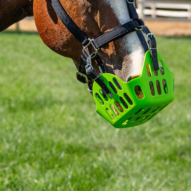 Greenguard-Korb Greenguard-Korb