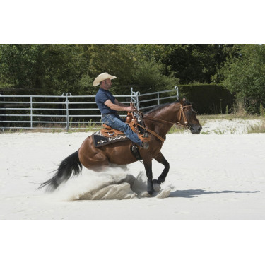 Sattel Westride by Franck Perret Aurora Sattel Westride by Franck Perret Aurora