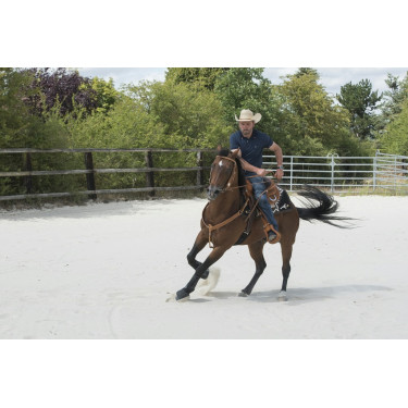 Sattel Westride by Franck Perret Aurora Sattel Westride by Franck Perret Aurora