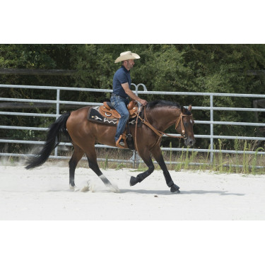Sattel Westride by Franck Perret Aurora Sattel Westride by Franck Perret Aurora