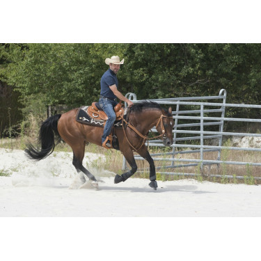 Sattel Westride by Franck Perret Aurora Sattel Westride by Franck Perret Aurora