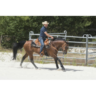 Sattel Westride by Franck Perret Aurora Sattel Westride by Franck Perret Aurora
