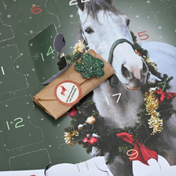 Adventskalender Natural'Christmas Gourmet 2026 Natural'Innov