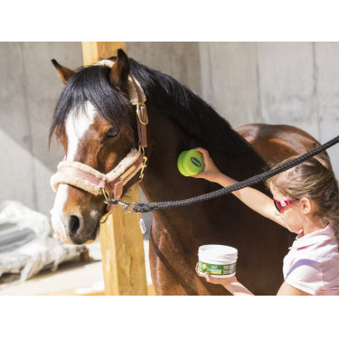 Émouchine Protec Gel Ravene Dose + Schwamm Émouchine Protec Gel Ravene Dose + Schwamm