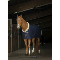 Mesh-Hemd Equithème Teddy Marineblau