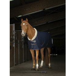 Mesh-Hemd Equithème Teddy