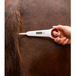 Digital-Fieberthermometer für Pferde Waldhausen Digital-Fieberthermometer für Pferde Waldhausen