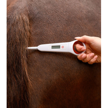 Digital-Fieberthermometer für Pferde Waldhausen Digital-Fieberthermometer für Pferde Waldhausen