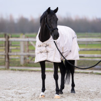 Pferdedecke für Paddock – 200g, wetterfest & warm