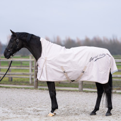 Pferdedecke für Paddock – 200g, wetterfest & warm