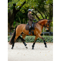 Brilliance Dressurschabracke LeMieux
