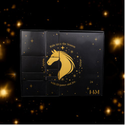 HKM Adventskalender 2026