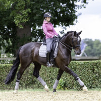 LeMieux Carbon Mesh Square Dressur Schabracke Brombeere Bordeaux LeMieux Carbon Mesh Square Dressur Schabracke Brombeere Bordeaux