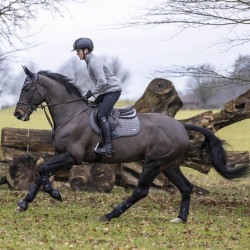 Herrenhose LeMieux Monsieur Schwarz Herrenhose LeMieux Monsieur Schwarz