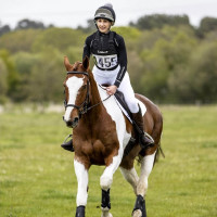 Wettkampfnummernhalter LeMieux Benetton Blau