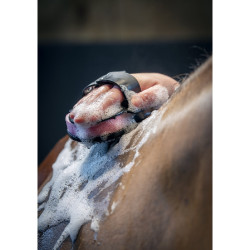 Dusche Schwamm Hippo LeMieux