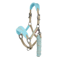 Halfter und Führstrick Lemieux Vogue Marineblau / Königsblau Halfter und Führstrick Lemieux Vogue Marineblau / Königsblau