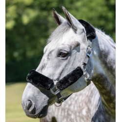 LeMieux Komfort-Halfter Grau / Schwarz