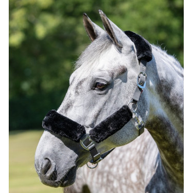LeMieux Komfort-Halfter Grau / Schwarz