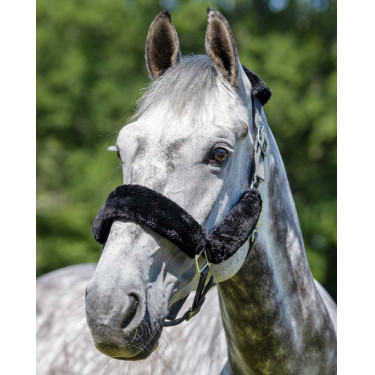 LeMieux Komfort-Halfter Grau / Schwarz