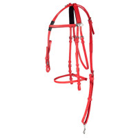 KOMPLETTE SYNTHETISCHE KANDARDE BETA Rot