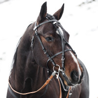 TRAINING IN BETA PRO Schwarz