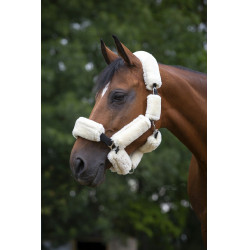 Set für Halfter Equithème Teddy Set für Halfter Equithème Teddy