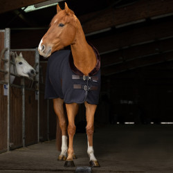 Fleecehemd Equithème Teddy Fleecehemd Equithème Teddy