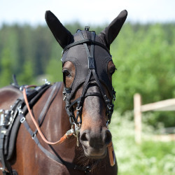 Mütze mit Ohren Finn-Tack Pro Mütze mit Ohren Finn-Tack Pro