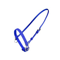 KLEINES NYLONHALFTER MIT RING Blau KLEINES NYLONHALFTER MIT RING Blau