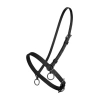 KLEINES NYLONHALFTER MIT RING Schwarz