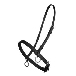 KLEINES NYLONHALFTER MIT RING KLEINES NYLONHALFTER MIT RING