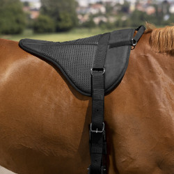 Reitpad Norton Silikon Reitpad Norton Silikon