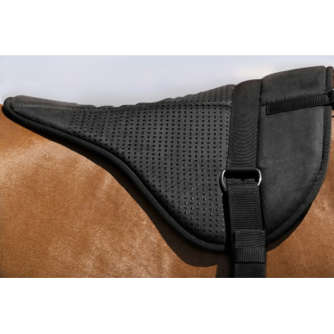 Reitpad Norton Silikon Reitpad Norton Silikon