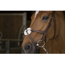 Bridon Norton Pro mit kombiniertem Reithalfter Bridon Norton Pro mit kombiniertem Reithalfter